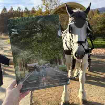 株式会社TCCJapan　擬似エンボスクリアファイル